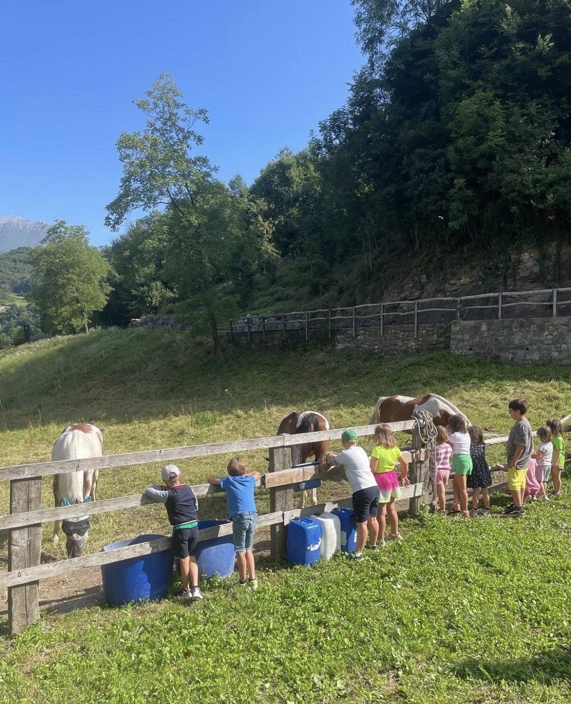 Parliamo di cavalli, visite ed esperienze.
